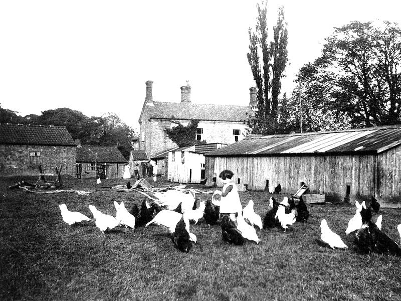 vv Old Clifton Village