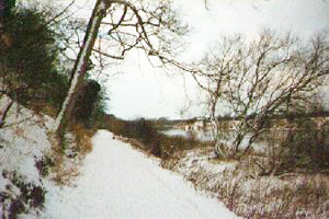 Clifton Grove
