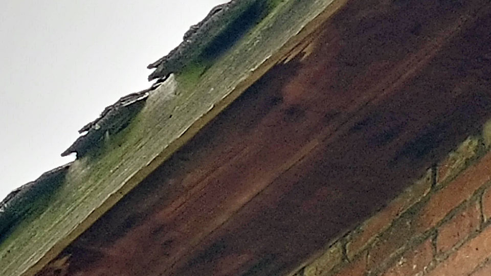 Dovecote